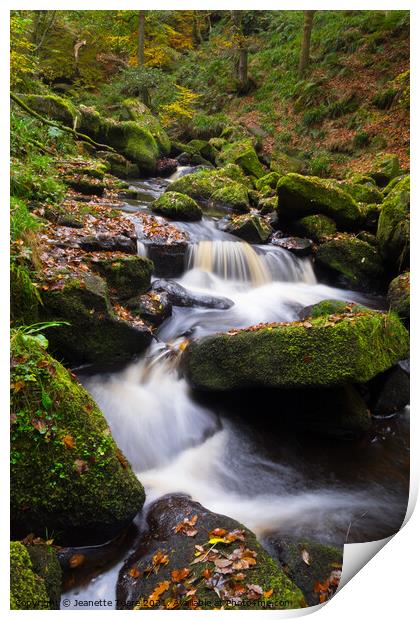 Padley Gorge waterfall Print by Jeanette Teare