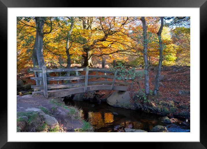 Padley Gorge bridge in autumn, beautiful colours of the Peak District Framed Mounted Print by Jeanette Teare