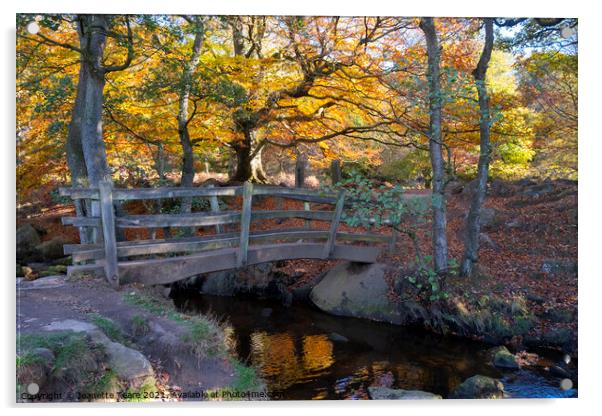 Padley Gorge bridge in autumn, beautiful colours of the Peak District Acrylic by Jeanette Teare