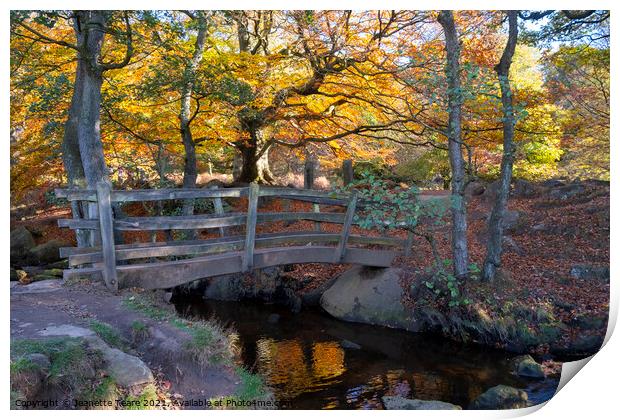 Padley Gorge bridge in autumn, beautiful colours of the Peak District Print by Jeanette Teare