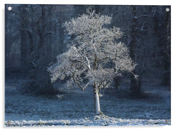 Frosted  tree with snow on the ground Acrylic by Simon Johnson