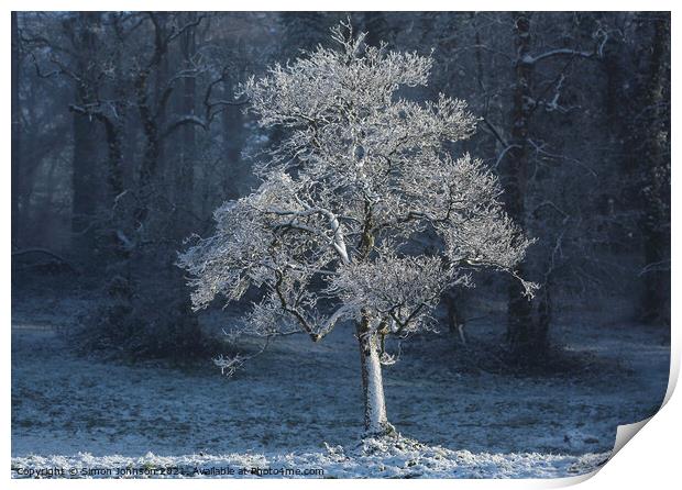 Frosted  tree with snow on the ground Print by Simon Johnson