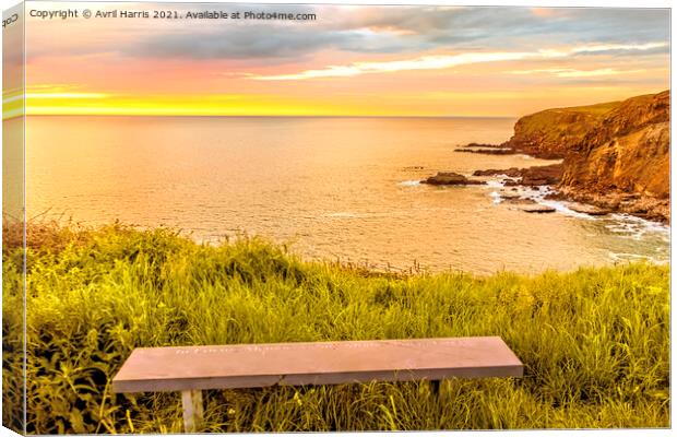 Widemouth Bay Sunset Canvas Print by Avril Harris
