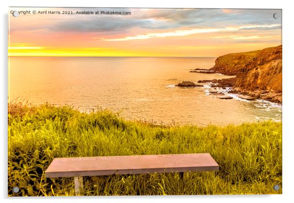 Widemouth Bay Sunset Acrylic by Avril Harris
