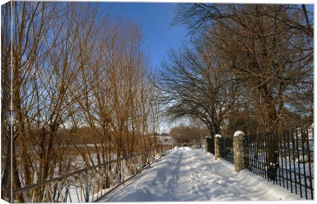 Winter in the park of Calarasi Canvas Print by liviu iordache