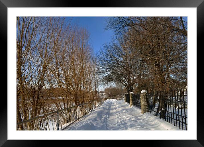 Winter in the park of Calarasi Framed Mounted Print by liviu iordache