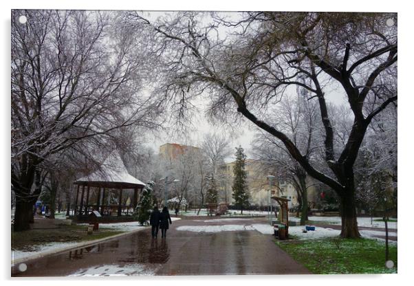 Winter in the park of Calarasi Acrylic by liviu iordache