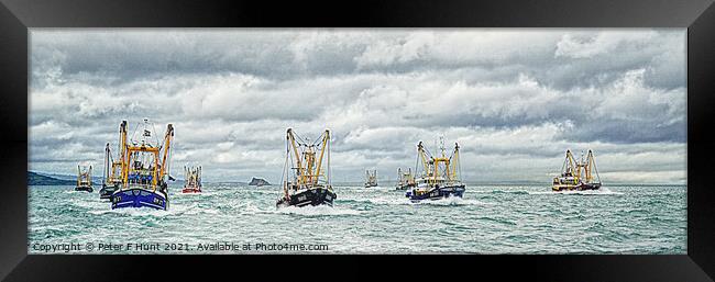 Port Of Brixham Trawler Race Framed Print by Peter F Hunt