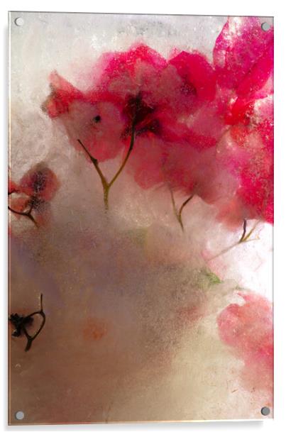 bougainvillea flowers in ice, a composition Acrylic by Jose Manuel Espigares Garc