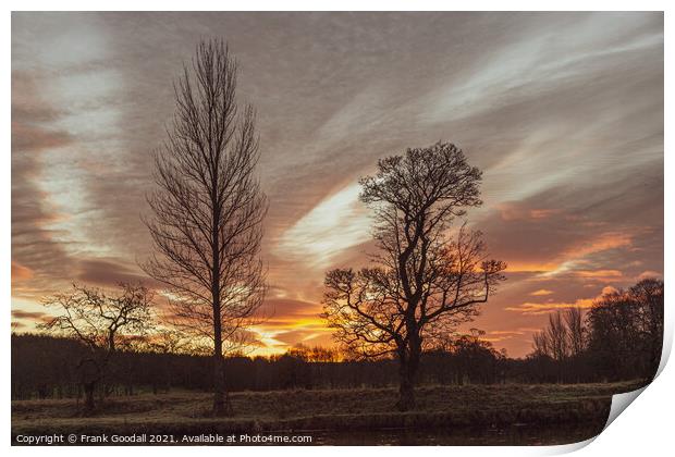 Sunrise Through The Trees Print by Frank Goodall