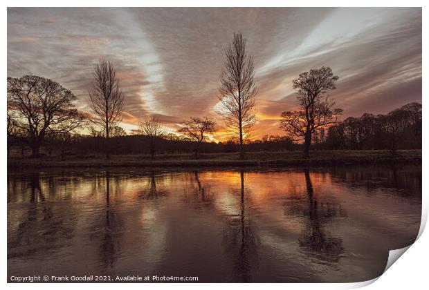 Reflecting on the morning Print by Frank Goodall
