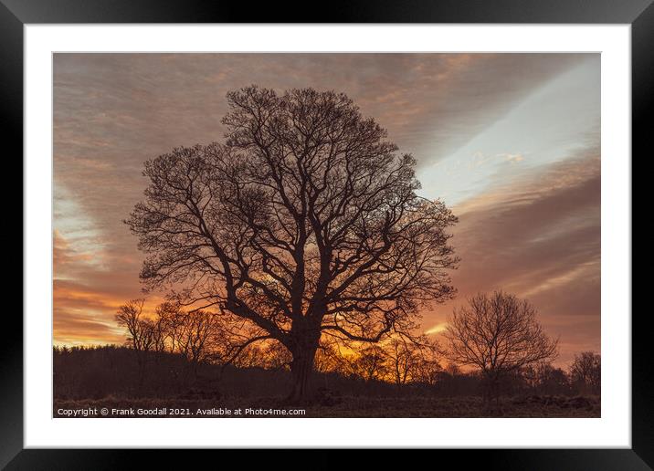 Watching the sunrise Framed Mounted Print by Frank Goodall
