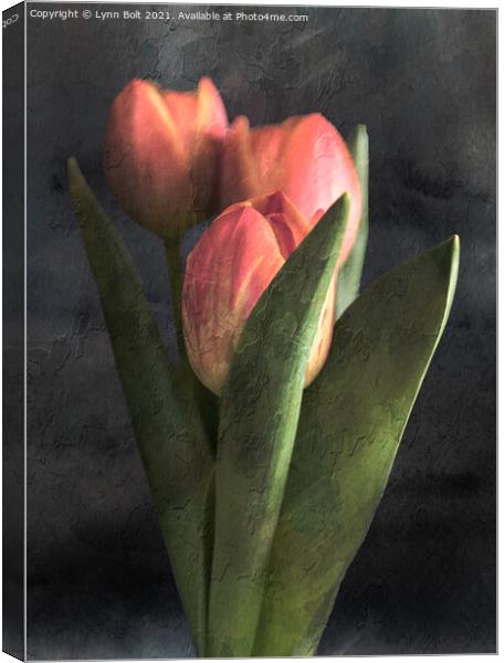 Three Tulips Canvas Print by Lynn Bolt