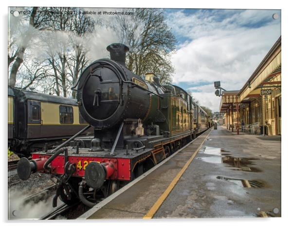 Paignton Dartmouth Steam Railway Paignton Station  Acrylic by Nick Jenkins