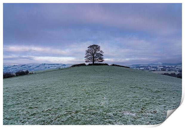 Psalm 1 - Landscape  Print by Jonny Gios