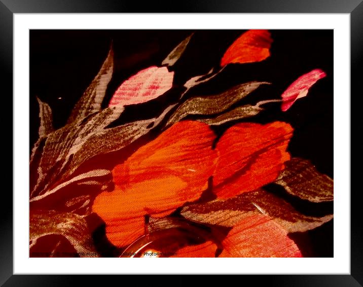 Abstract Flowers Framed Mounted Print by Stephanie Moore