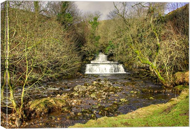 The Falls and Cotter Beck Canvas Print by Trevor Kersley RIP