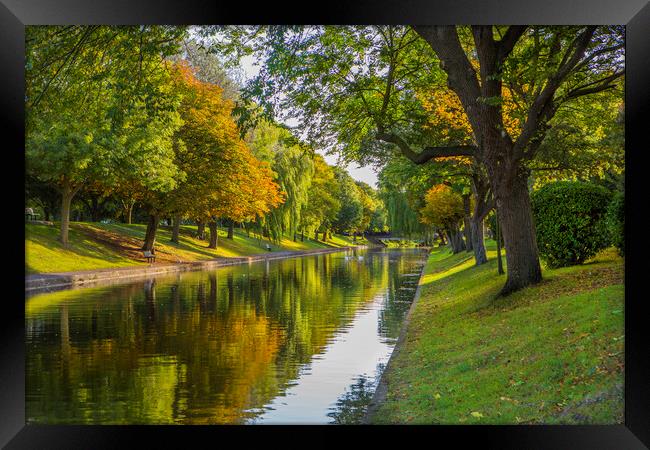 The Royal Military Canal Framed Print by David Hare