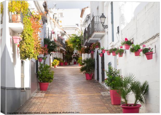 Street of the pink plantpots, Estepona Canvas Print by Jeanette Teare