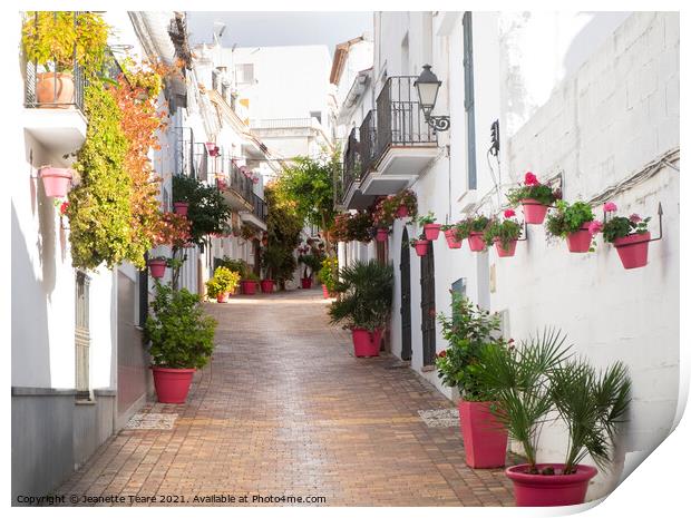 Street of the pink plantpots, Estepona Print by Jeanette Teare