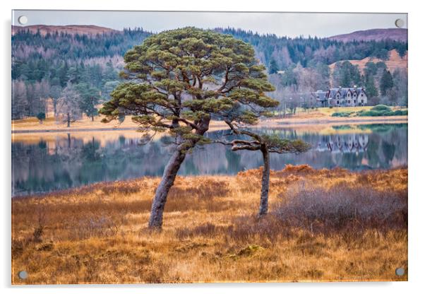 Loch Tulla - Two Trees Acrylic by John Frid