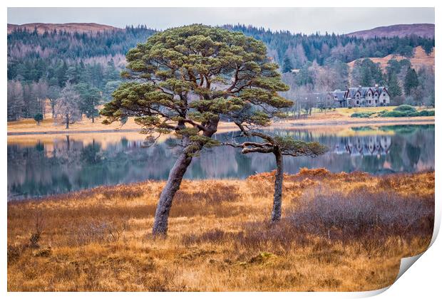 Loch Tulla - Two Trees Print by John Frid