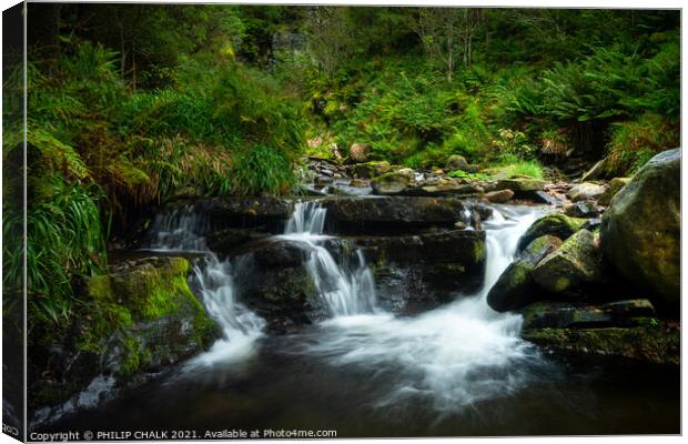 Magical woodland with a waterfall in Cumbria near Cockermouth 69 Canvas Print by PHILIP CHALK