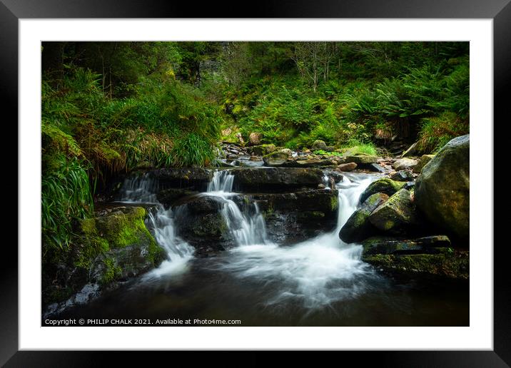 Magical woodland with a waterfall in Cumbria near Cockermouth 69 Framed Mounted Print by PHILIP CHALK