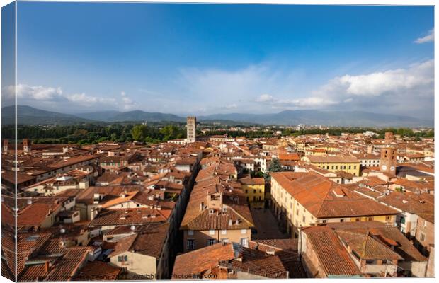 Lucca rooftops Canvas Print by Jeanette Teare