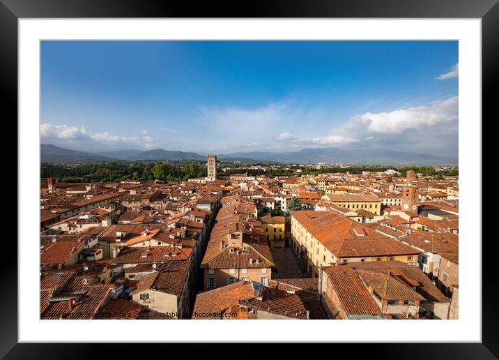 Lucca rooftops Framed Mounted Print by Jeanette Teare