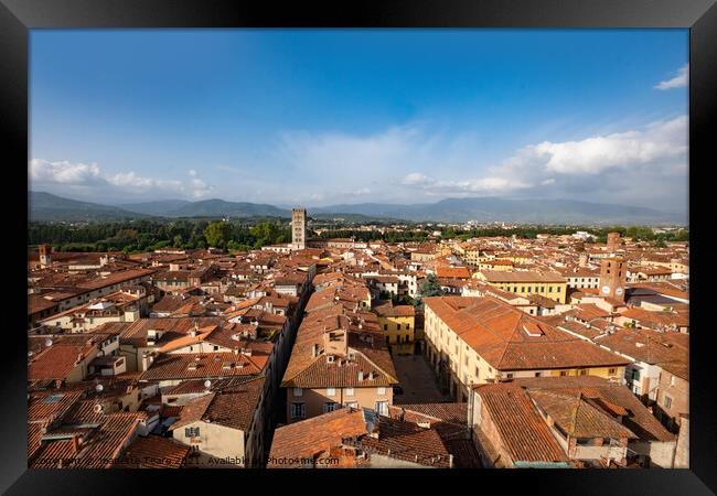 Lucca rooftops Framed Print by Jeanette Teare