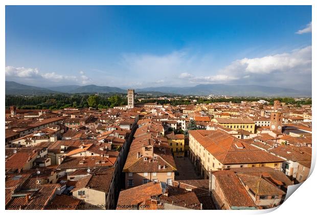 Lucca rooftops Print by Jeanette Teare
