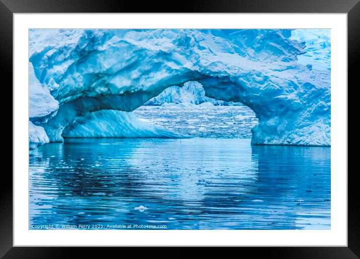 Blue Iceberg Arch Reflection Paradise Bay Antarctica Framed Mounted Print by William Perry