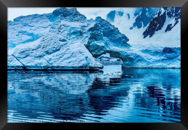 Snowing Floating Blue Iceberg Arch Paradise Bay Antarctica Framed Print by William Perry