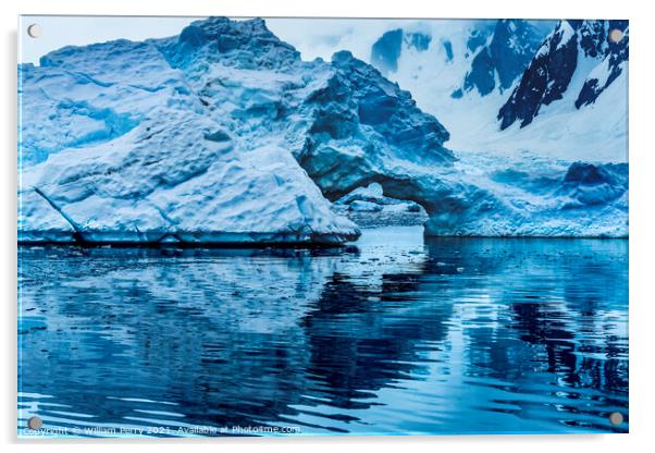 Snowing Floating Blue Iceberg Arch Paradise Bay Antarctica Acrylic by William Perry
