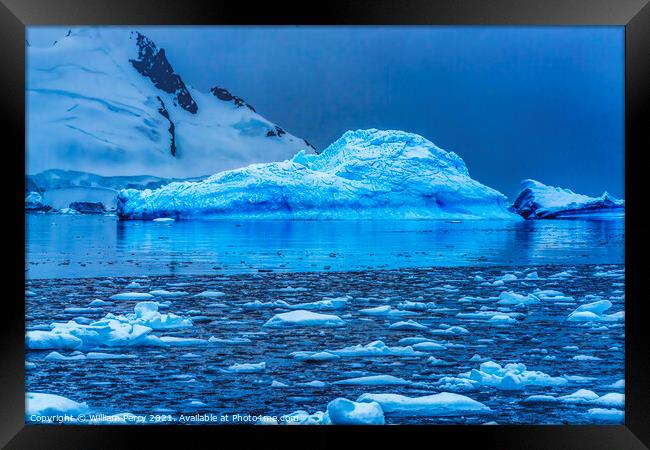 Blue Iceberg Reflection Paradise Bay Skintorp Cove Antarctica Framed Print by William Perry