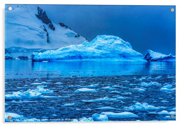 Blue Iceberg Reflection Paradise Bay Skintorp Cove Antarctica Acrylic by William Perry