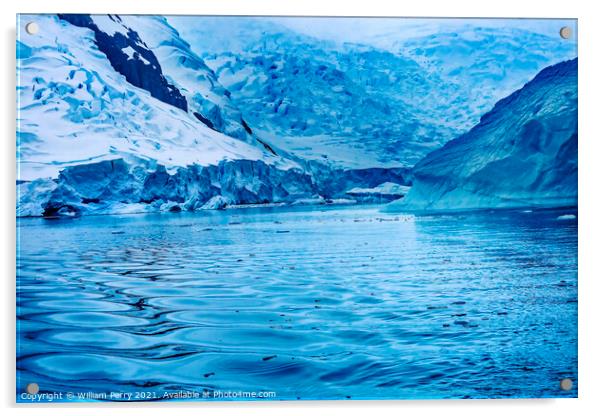 Blue Glacier Snow Mountains Paradise Bay Antarctica Acrylic by William Perry