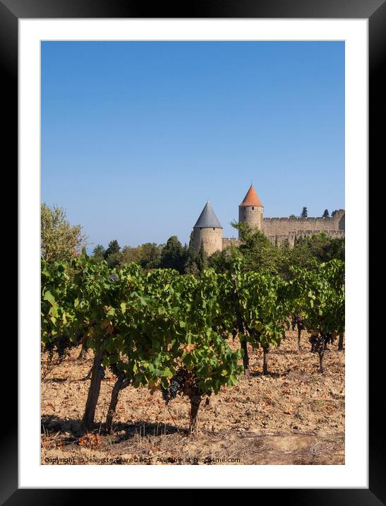Carcassonne vineyard Framed Mounted Print by Jeanette Teare