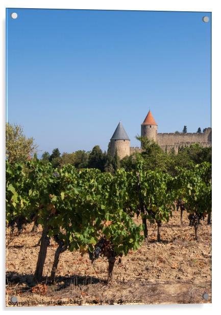 Carcassonne vineyard Acrylic by Jeanette Teare