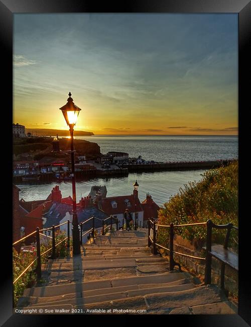Whitby sunset Framed Print by Sue Walker