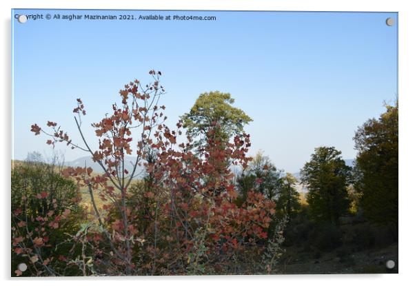 Outdoor mountain Acrylic by Ali asghar Mazinanian