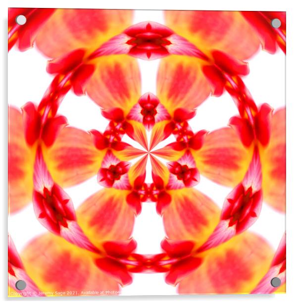 The Vibrant Radial Dahlia Acrylic by Jeremy Sage