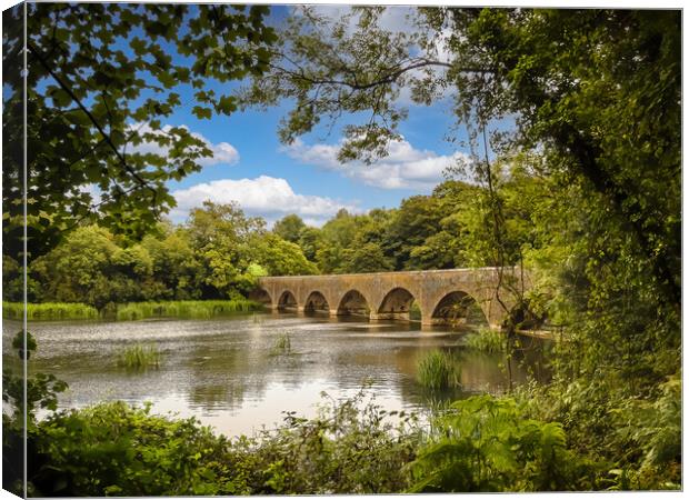 The Eight Arch Bridge at Bosherston. Canvas Print by Colin Allen