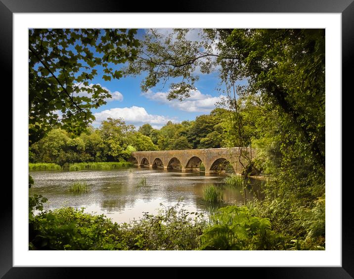 The Eight Arch Bridge at Bosherston. Framed Mounted Print by Colin Allen