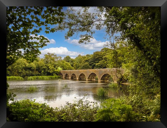 The Eight Arch Bridge at Bosherston. Framed Print by Colin Allen