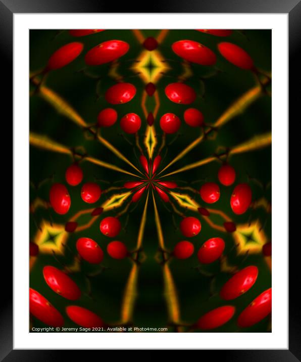 Vibrant Red Berry Mix Framed Mounted Print by Jeremy Sage