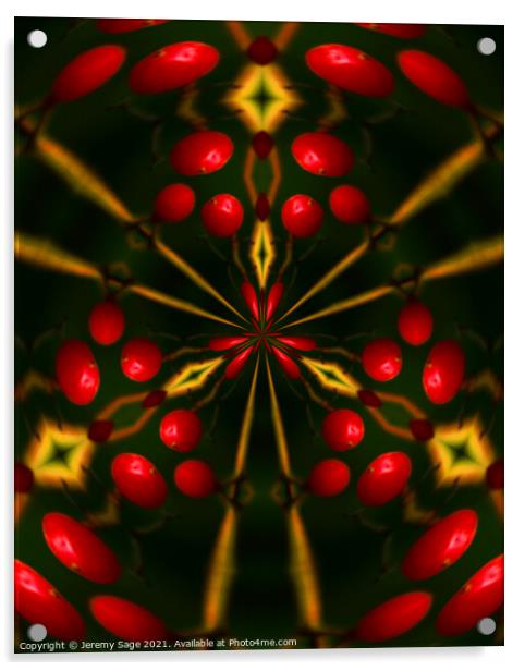 Vibrant Red Berry Mix Acrylic by Jeremy Sage