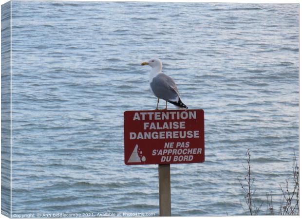 Seagull on a danger sign Canvas Print by Ann Biddlecombe