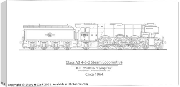 Class A3 steam locomotive Flying Fox Circa 1964 Canvas Print by Steve H Clark